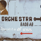 Specialist in All Styles - Orchestra Baobab [VINYL]