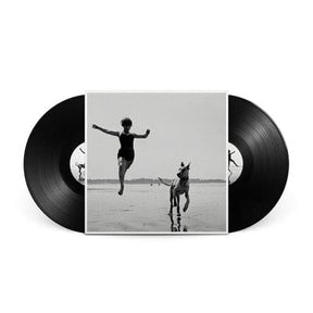 In Quiet Moments:   - Lost Horizons [VINYL]