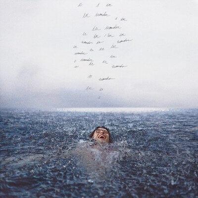 Wonder:   - Shawn Mendes [VINYL]