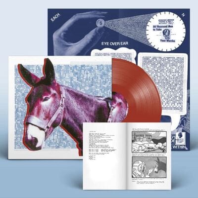 Ultimate Success Today: Brick Red Coloured Vinyl (LRS IAOTY) - Protomartyr [VINYL Limited Edition]