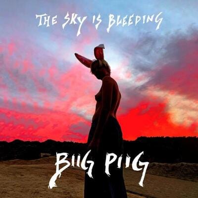 The Sky Is Bleeding:   - Biig Piig [VINYL]