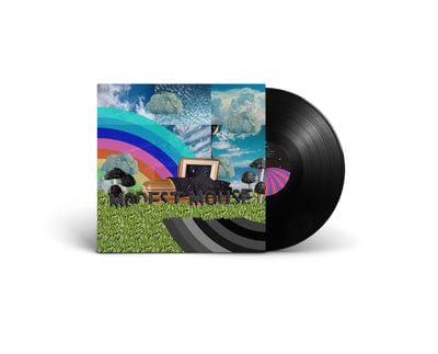 The Golden Casket - Modest Mouse [VINYL]