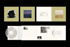 The Nearer the Fountain the More Pure the Stream Flows:   - Damon Albarn [VINYL Deluxe Edition]