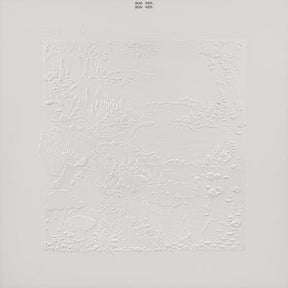 Bon Iver, Bon Iver (10th Anniversary):  - Bon Iver [Colour Vinyl]
