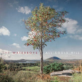 All Souls Hill:   - The Waterboys [VINYL]