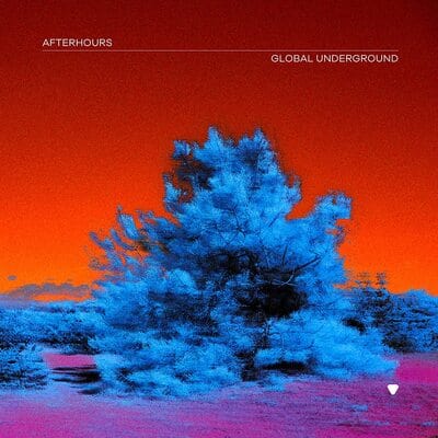Global Underground: Afterhours 9:   - Various Artists [VINYL]