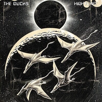 High Flyin' - The Ducks [VINYL]