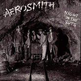 Night in the Ruts - Aerosmith [VINYL]