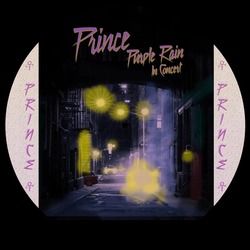 PURPLE RAIN (PICTURE DISC): - PRINCE [VINYL]